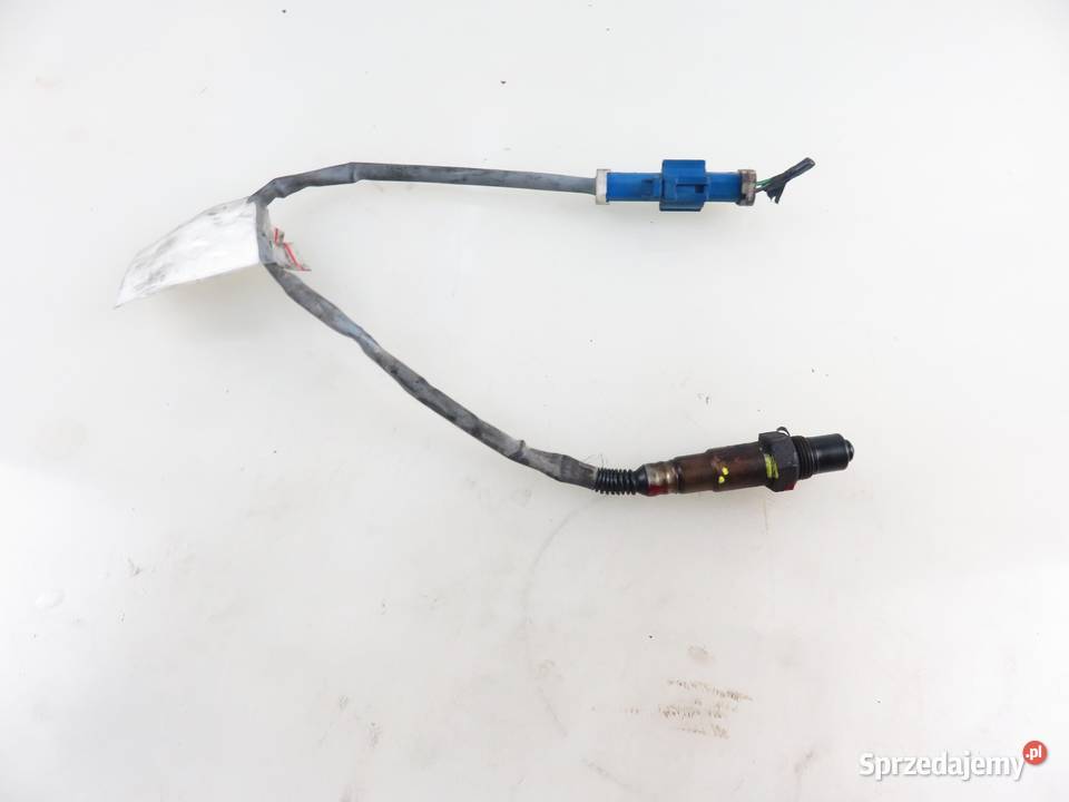 SONDA LAMBDA FORD FOCUS MK2 16 3M519G444BB małopolskie