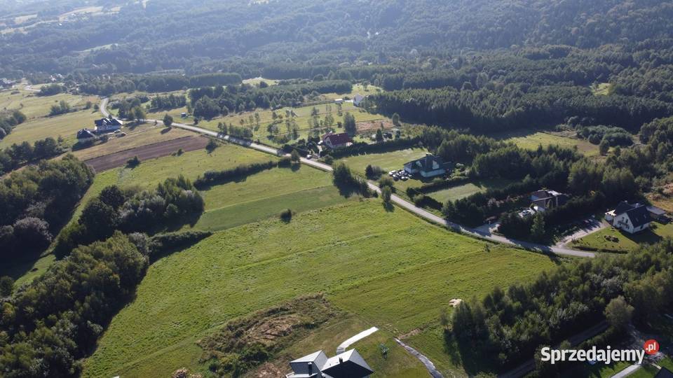 Konfitura z płatków róży ze zbioru 2022 r bez Lubenia sprzedam