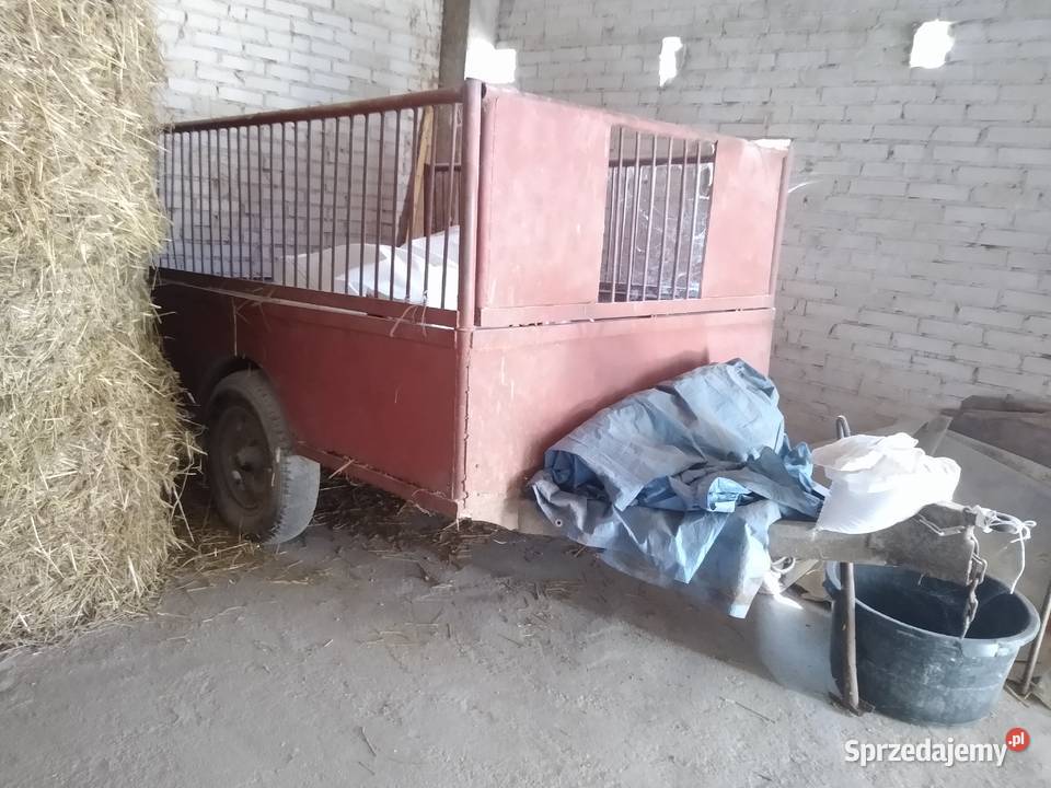 Sprzedam przyczepkę nieuszkodzony Przyczepy rolnicze podlaskie Wysokie Mazowieckie