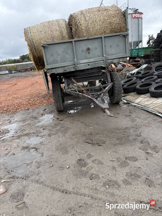 Przyczepa d55 Twardów