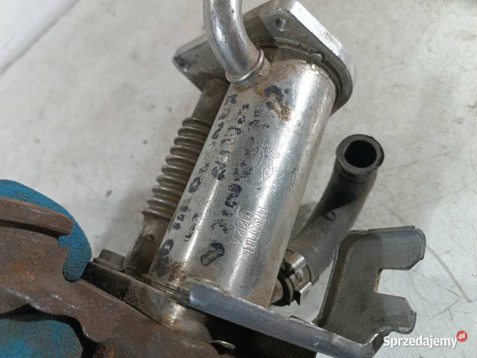 CHŁODNICZKA EGR RENAULT KANGOO III 15 DCI Części samochodowe