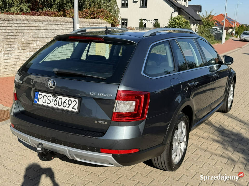koda Octavia Skoda Octavia Scout 4x4 20TDI 2014 napęd 4x4 Gostyń