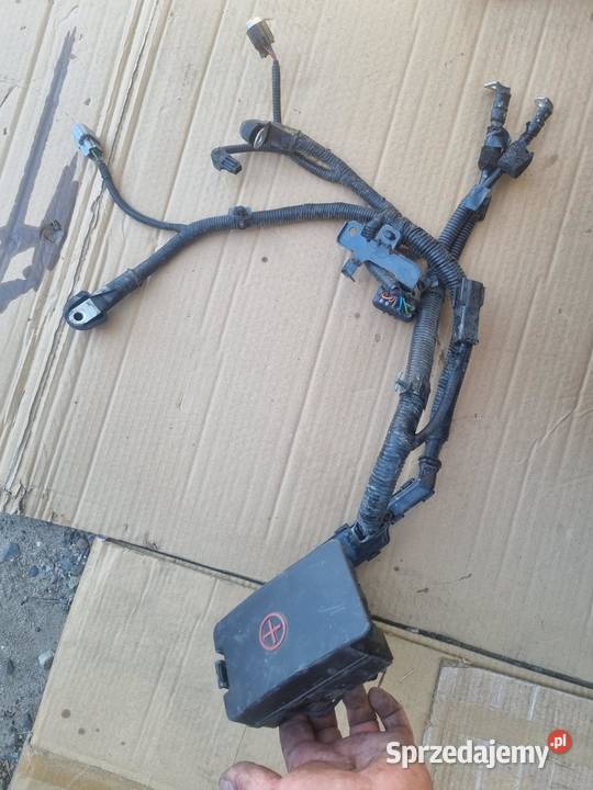 KLEMA PLUSOWA PRZEWÓD KIA XCEED 15 91975J7110 osobowe