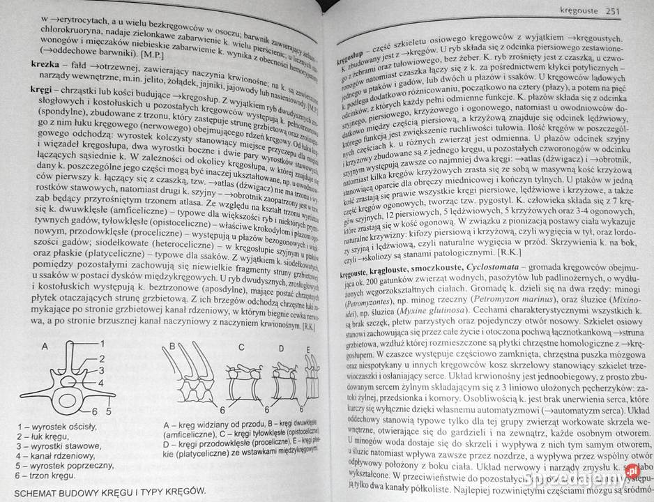 Słownik szkolny Biologia M Popielarska R