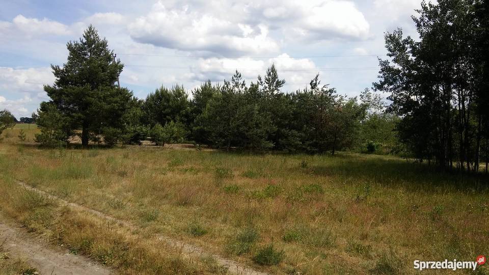 sprzedam działkę w malowniczej wsi warunki Krąplewice