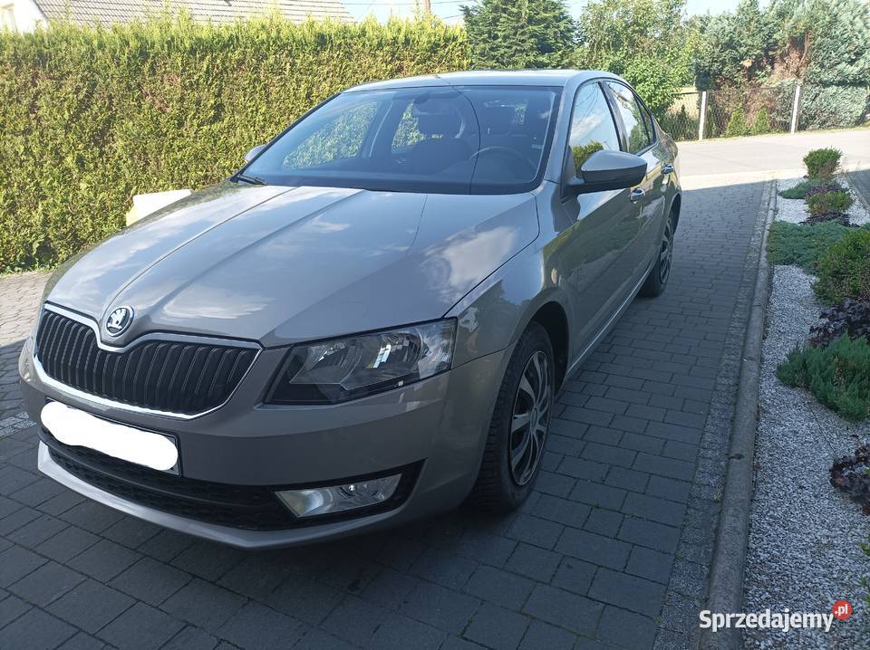 Skoda Octavia III 14 TSi KRAJOWA 2013r immobilizer śląskie Pszczyna