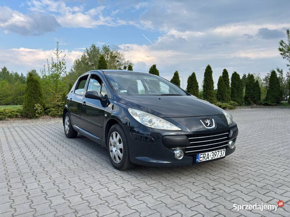 Peugeot 3072005 benzyna benzyna 307 Oleśnica