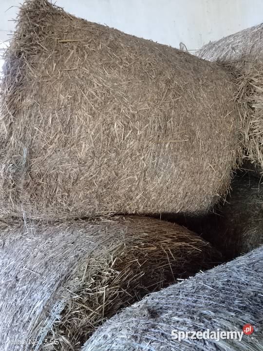 Sprzedam słone w belach Maków Mazowiecki