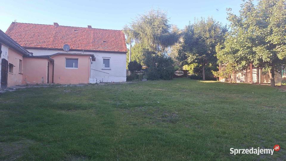 Dom z zabudową gospodarczą wielkopolskie Zduny