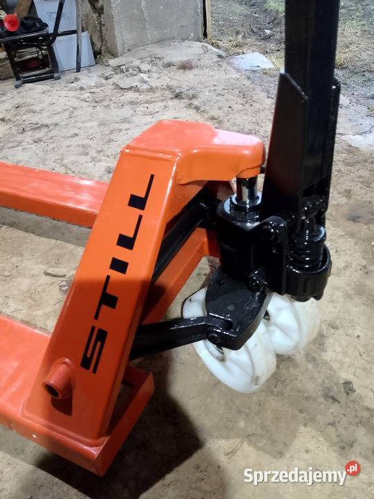 Paleciak szeroki Still Mońki