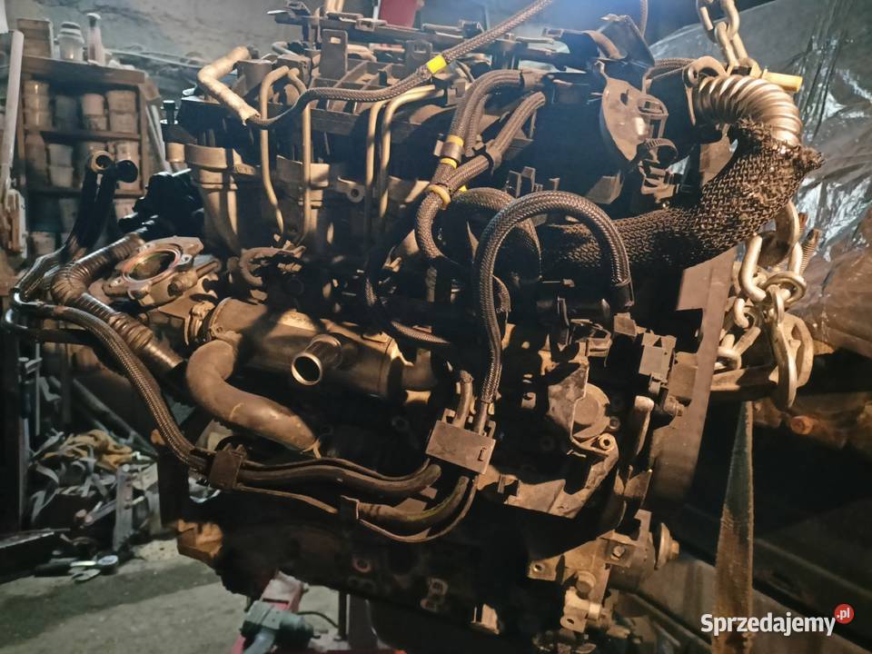 Silnik diesel 16 TDCI G8DA Rzeszów