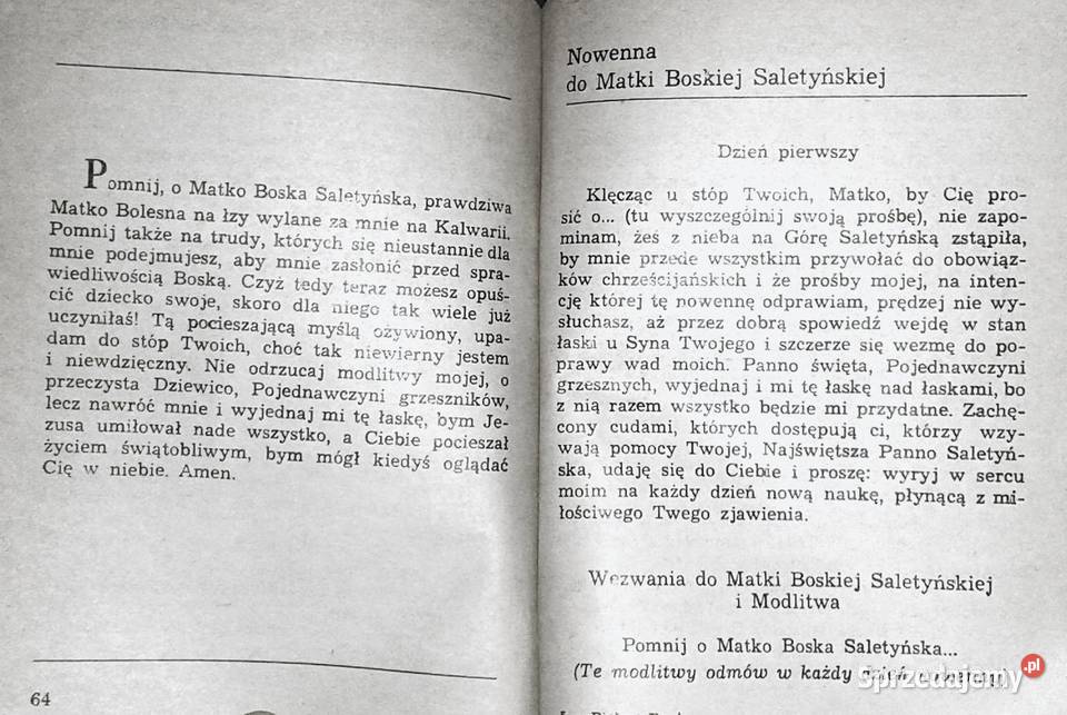 Piękna Pani Charles de Salmiech Chełm