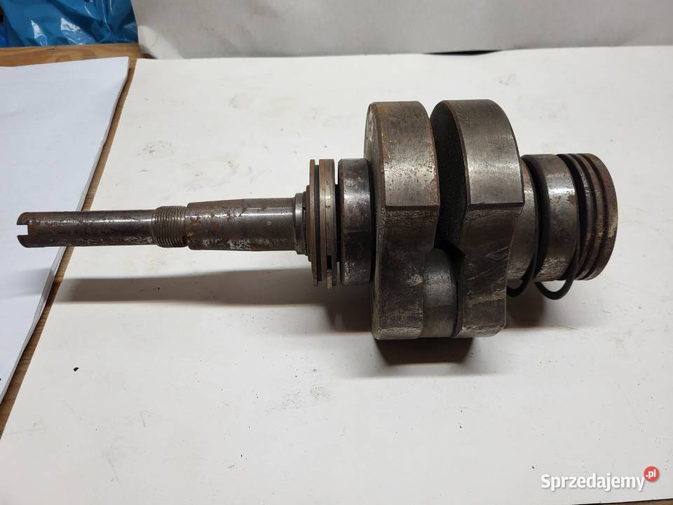 Dzik 2 21 fabr nowy wał korbowy S261C WSM typ wielkopolskie Chodzież sprzedam