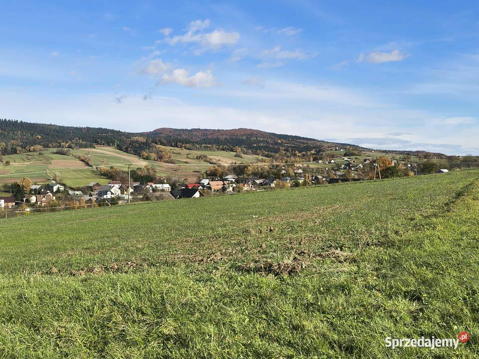 Działka rolnobudowlana Gródek gmGrybów 6zł/m2