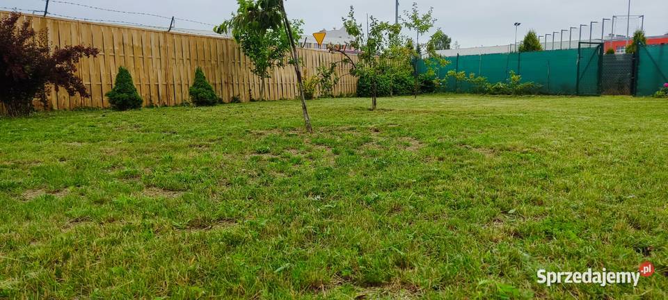 Sprzedam działkę ROD Sprzedaż Ełk