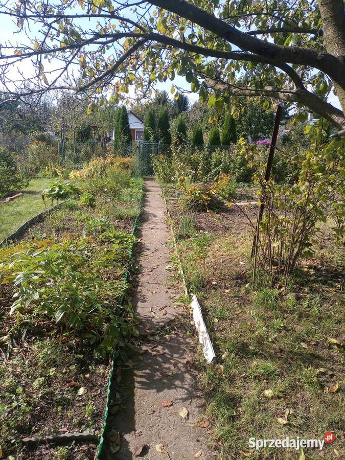 Sprzedam działkę ROD Zakole Wisły Kraków