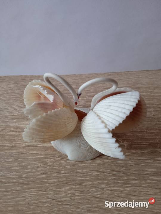 Łabędzie z muszelek Poznań