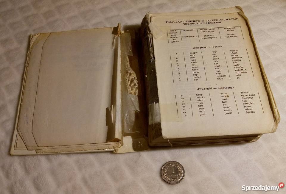 Kieszonkowy słownik angielskopolski Rogoźnik