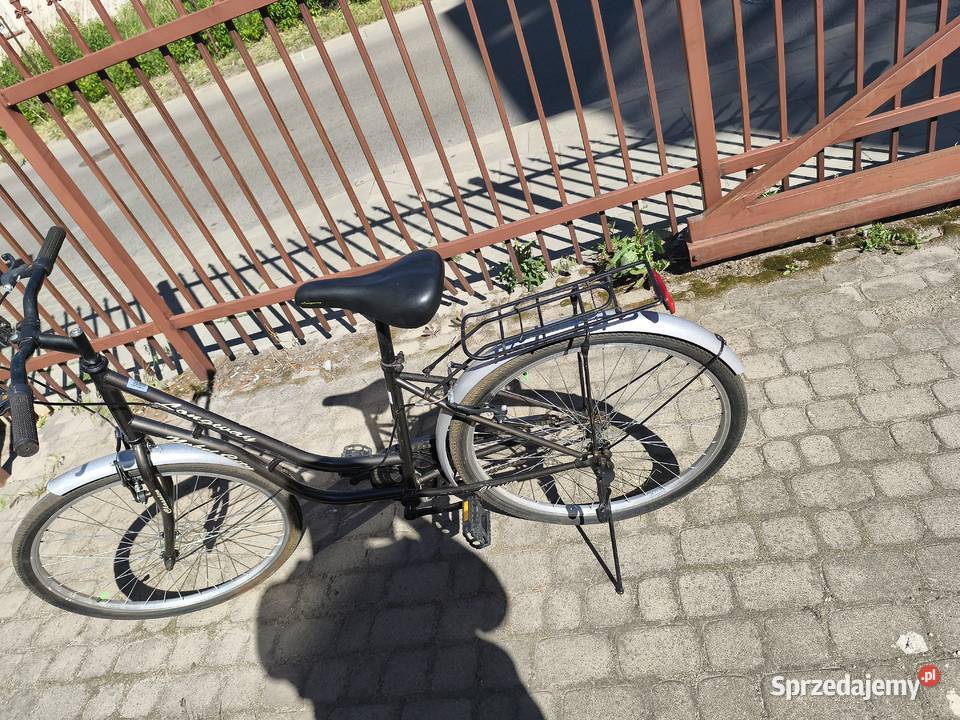 Damka Longway city Białystok