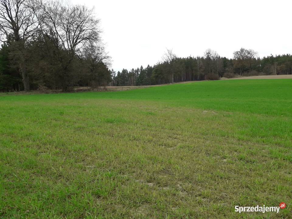 Dwie działki z warunkami zabudowy w Górze Sprzedaż