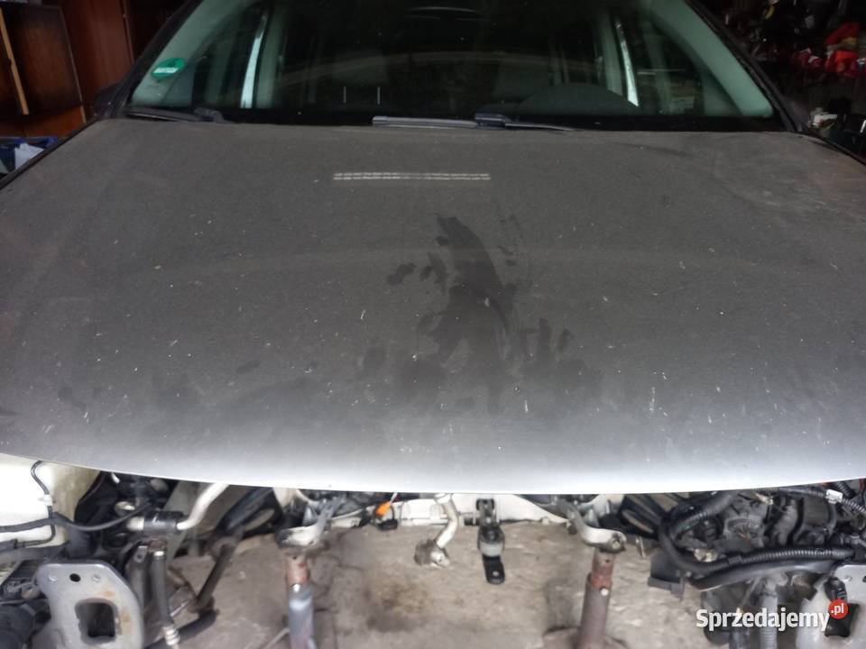 VW touran KLAPA MASKA DRZWI BŁOTNIKI KOD LD7S Andrespol