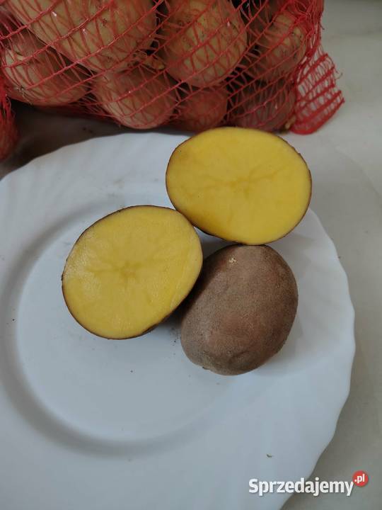 Sprzedam ziemniaki lubelskie Małochwiej Mały