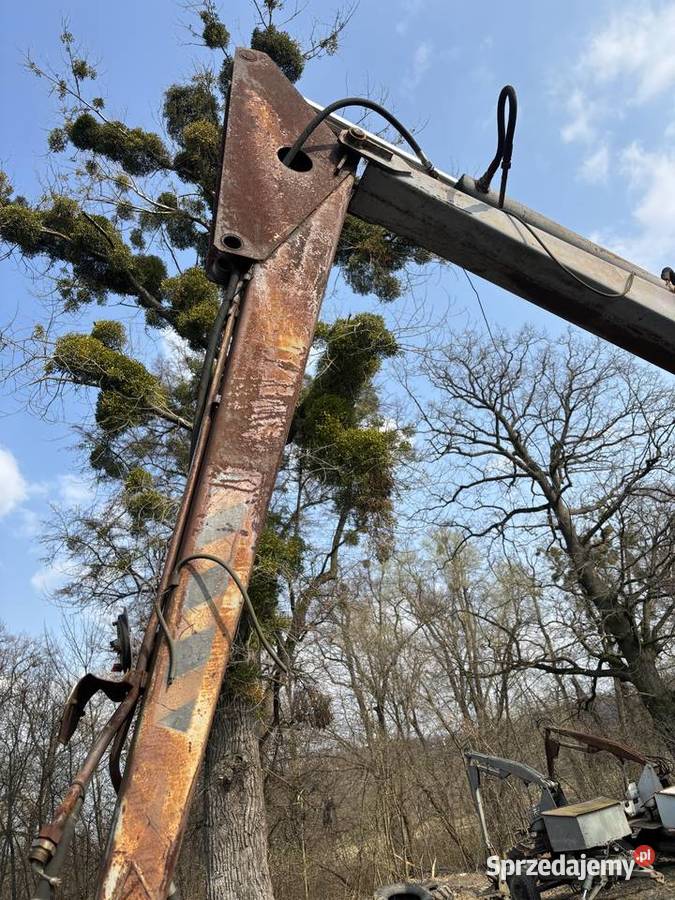 Cyklop Polski nowy typ Głogówek sprzedam