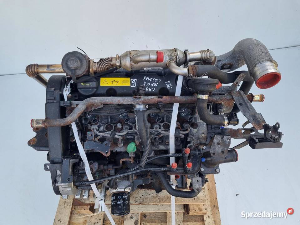 SILNIK KOMPLET Citroen Jumper 20 JTD HDI 84 Rudka sprzedam