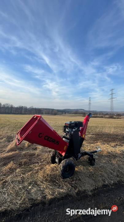 Rębak rozdrabniacz do gałęzi spalinowy wynajem Zgorzelec sprzedam