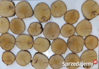 Plastry na ściane krążki drewniane 1m2 Rybnik