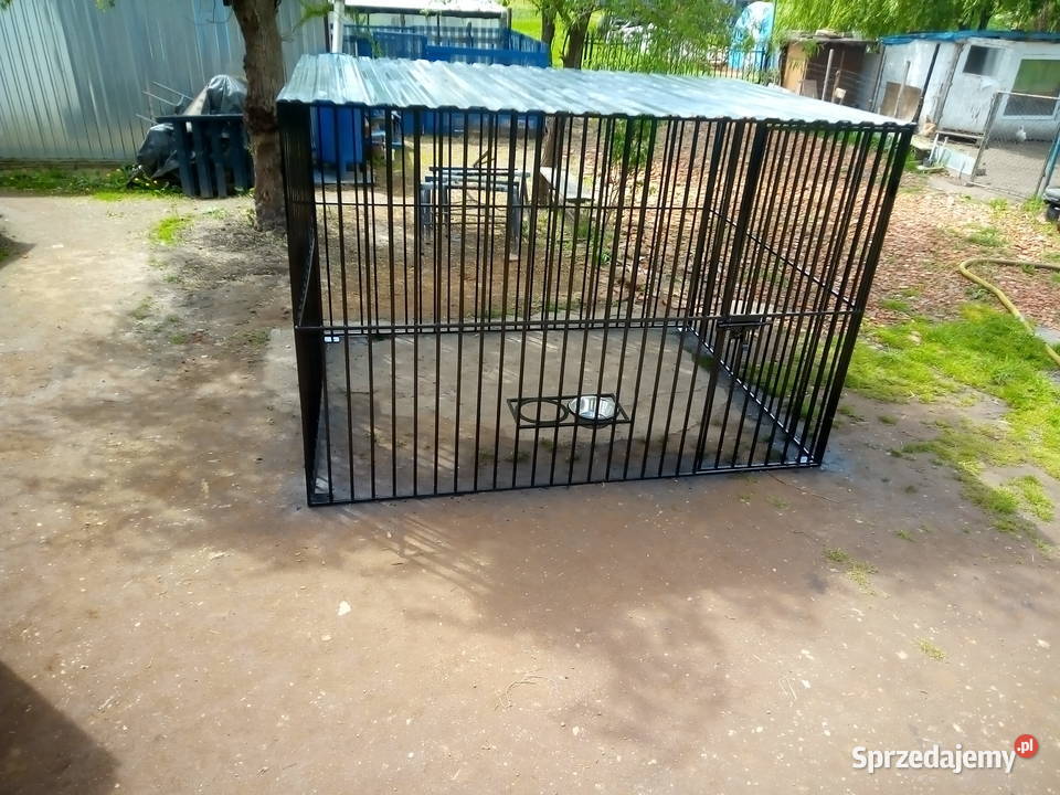 Kojec psaWolieryklatki ptaków gryzoni Pozostałe Pichorowice