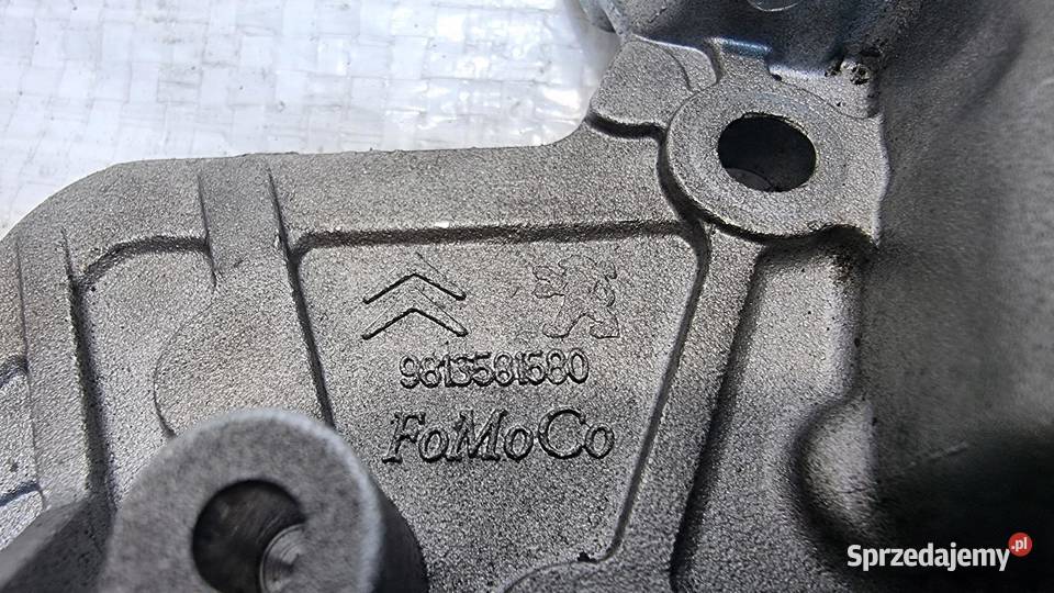 POMPA OLEJU OPEL GRANDLAND 16 BLUE HDI kujawsko-pomorskie