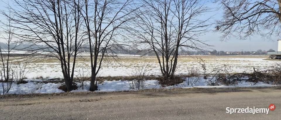 Działka Budowlana Mikołów 1922m2 Sprzedaż sprzedam