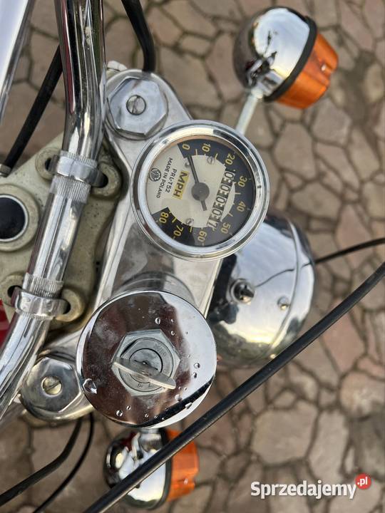 WSK Export 175 Full Zarejestrowana Igla lubelskie