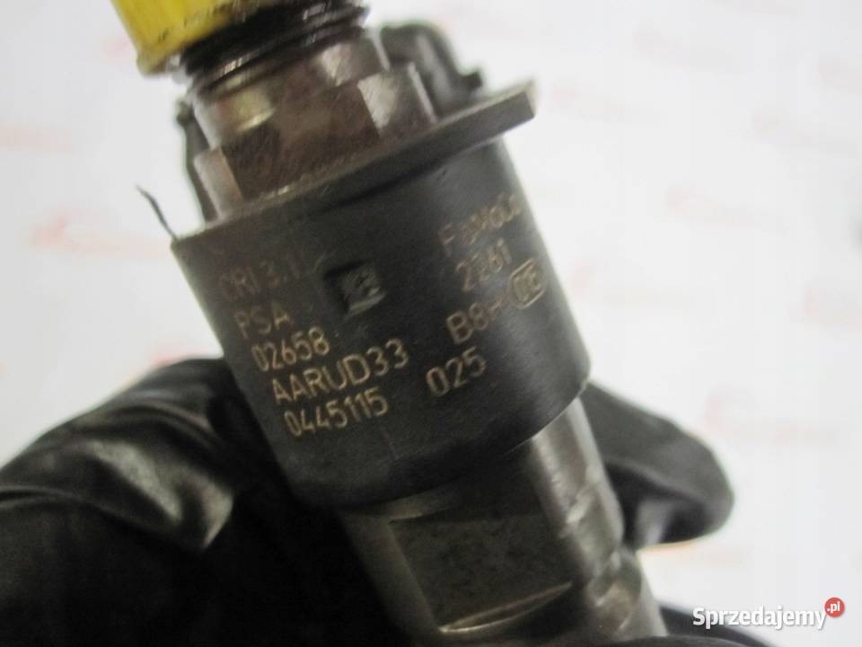 PEUGEOT CITROEN FORD MITSUBISHI 22 TDCI MDI świętokrzyskie Kielce