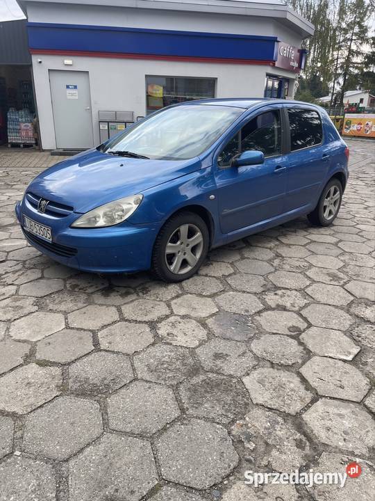 Peugeot 307 20hdi oszczędny 307 Biłgoraj