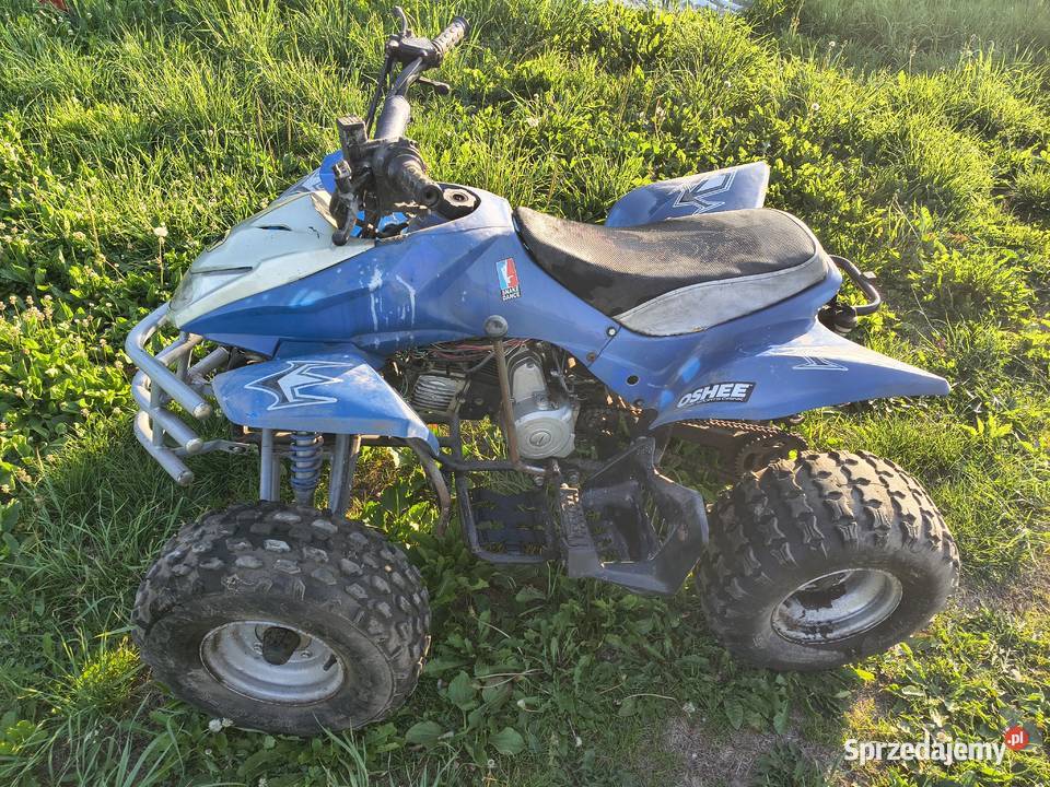 Quad Acxa 110 Uszkodzony Rok produkcji 2008 Pozostałe Parzymiechy sprzedam