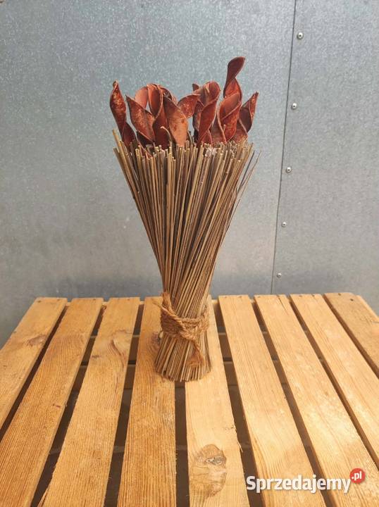 Bukiet z suszu egzotycznego boho naturalna sprzedam