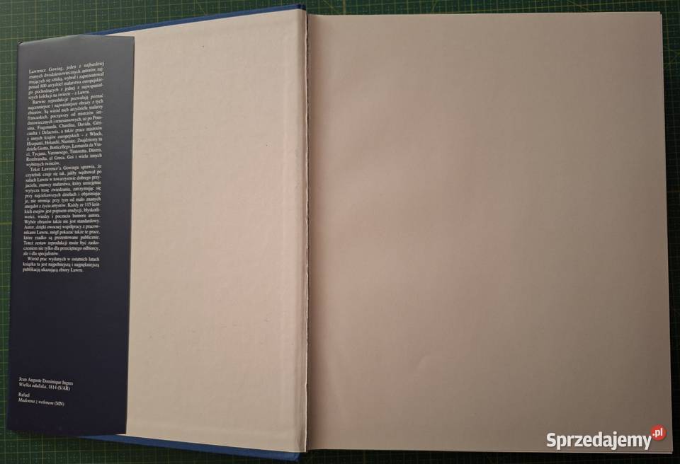 Arcydzieła malarstwa Luwr Lawrence Gowing Arkady ISBN 8321341349 Książki naukowe i popularnonaukowe Kraków