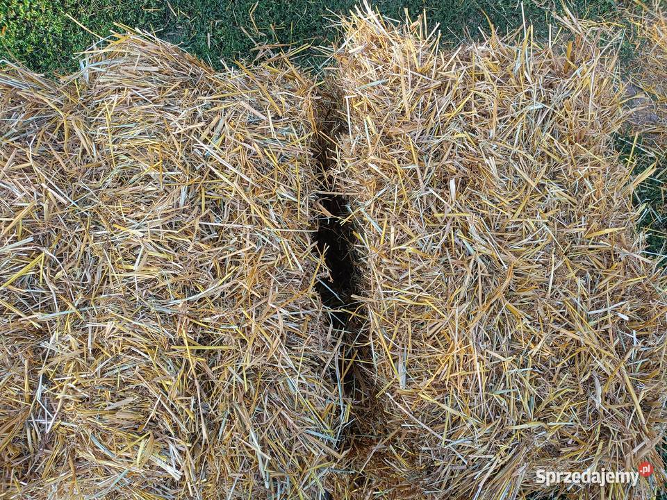 Słoma Owsiana W Kostkach Grodzisk Mazowiecki sprzedam