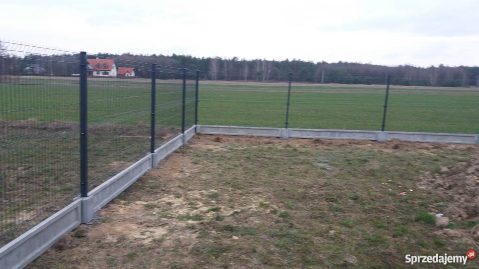 Ogrodzenie panelowe metal Płock