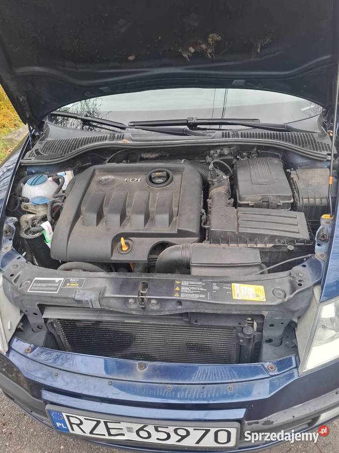 Skoda Octavia 19 TDI Ambiente manualna