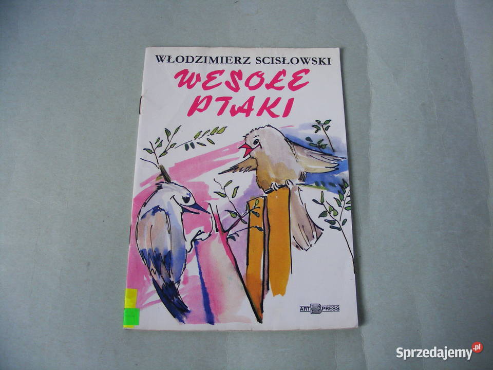 O zaginionych żeglarzach Wesołe ptaki Kot w Oborniki Śląskie