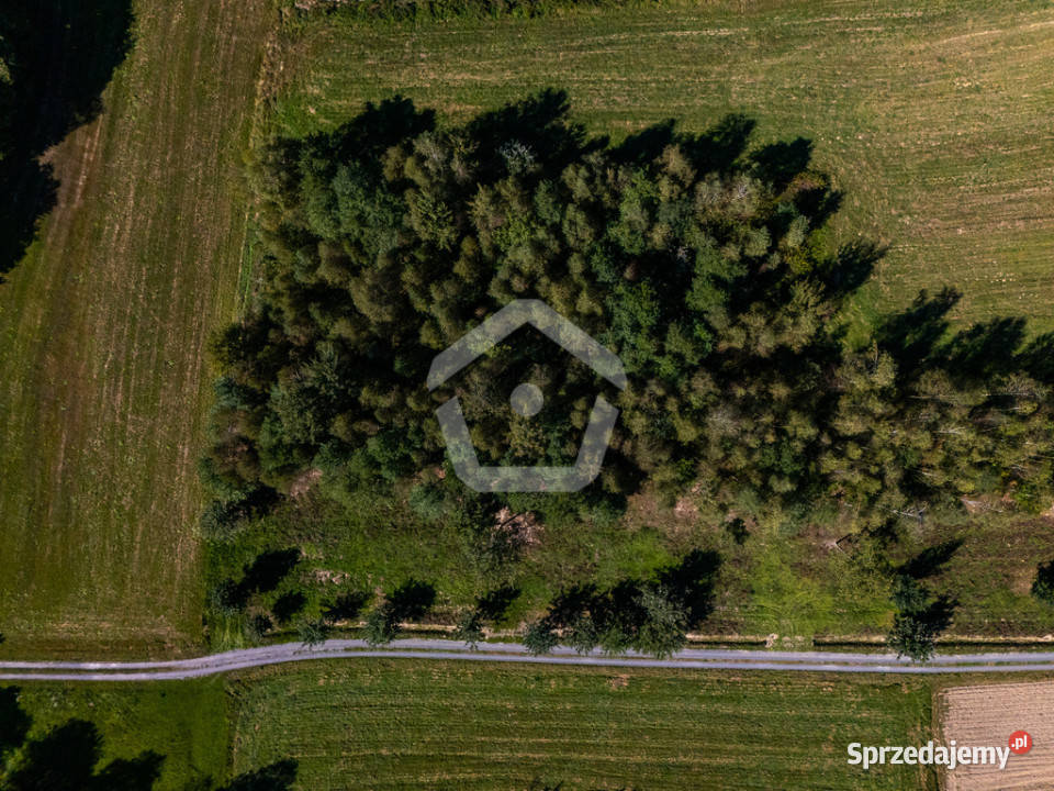 Działka lesie z WZ 34 ar 16 ar las Zagorzyce sprzedam