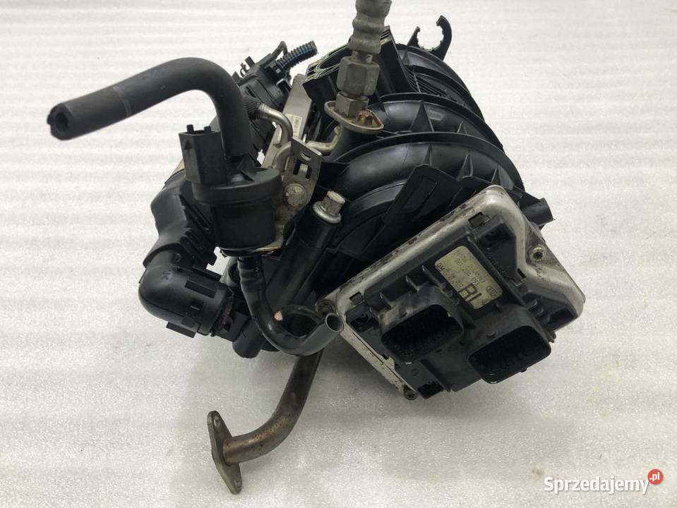 KOLEKTOR KOMPUTER SILNIKA OPEL ASTRA G wielkopolskie