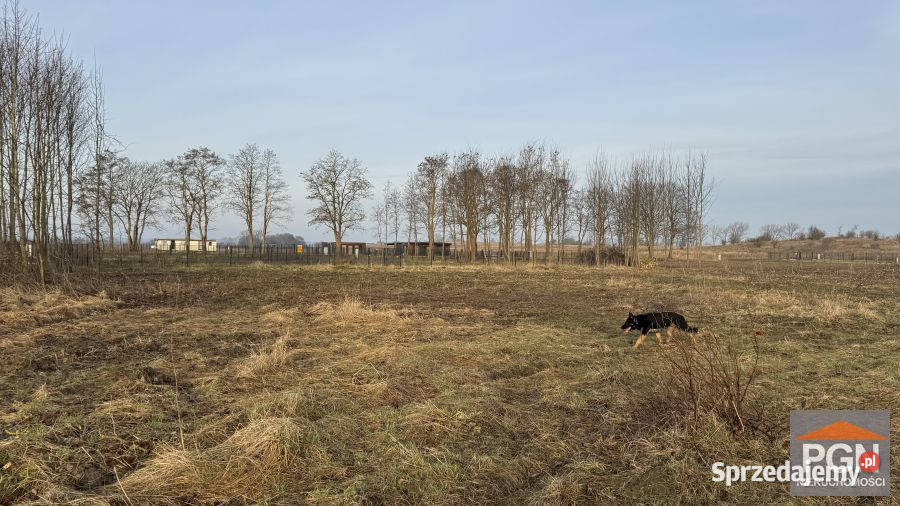 Działka 2002m2 Buniewice kanalizacja sprzedam