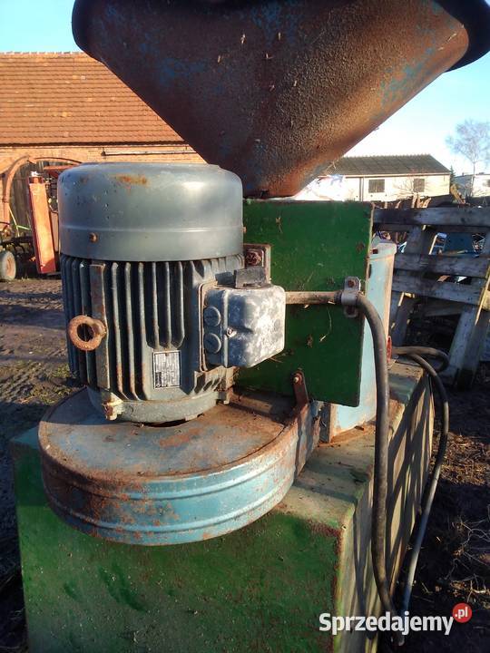 Srutownik niemiecki nieuszkodzony Gostyń