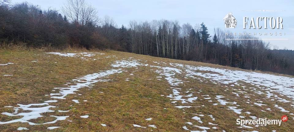 Działka budowlana 107 ha Siary gm Sękowa