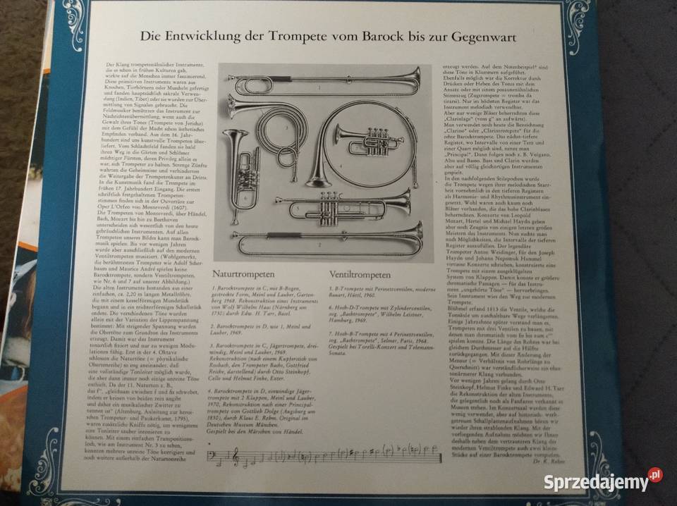 Płyty winylowe Żory