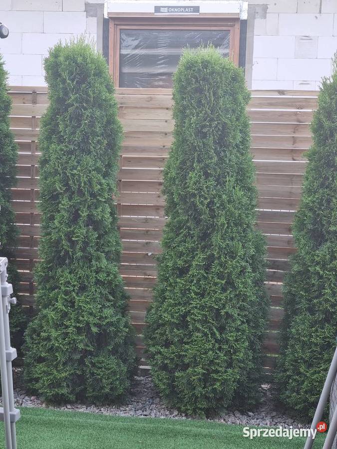 Panele ogrodzeniowe Ogród lubelskie Radzyń Podlaski